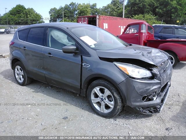 2013 Ford Escape